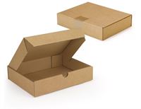 SCATOLA PER SPEDIZIONE EXTRA PIATTA